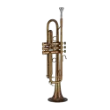 Trompeta Gewa TR172V Vision Vintage