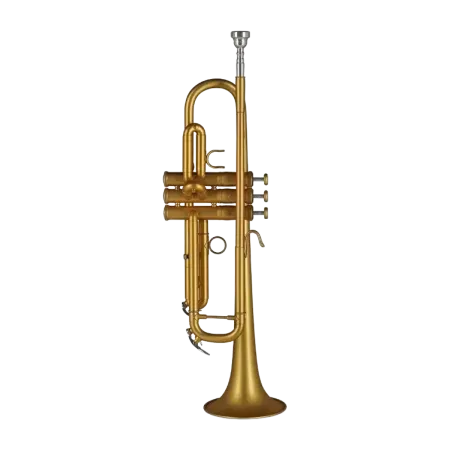 Trompeta Gewa TR172M Vision Mate Goldlack