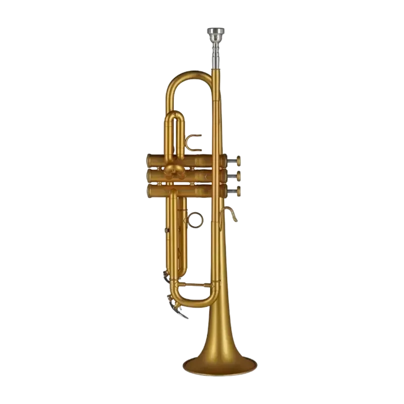 Trompeta Gewa TR172M Vision Mate Goldlack