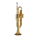 Trompeta Gewa TR172M Vision Mate Goldlack