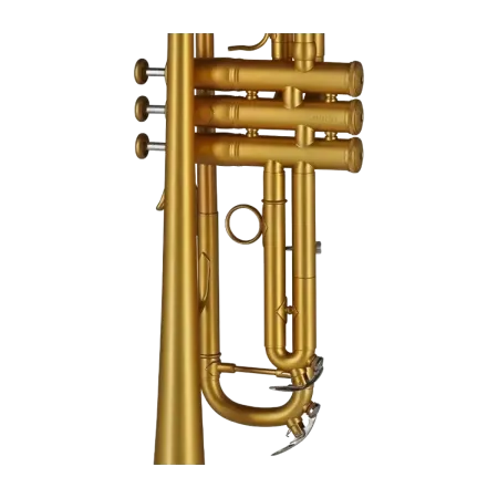 Trompeta Gewa TR172M Vision Mate Goldlack