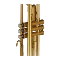 Trompeta Gewa TR172M Vision Mate Goldlack