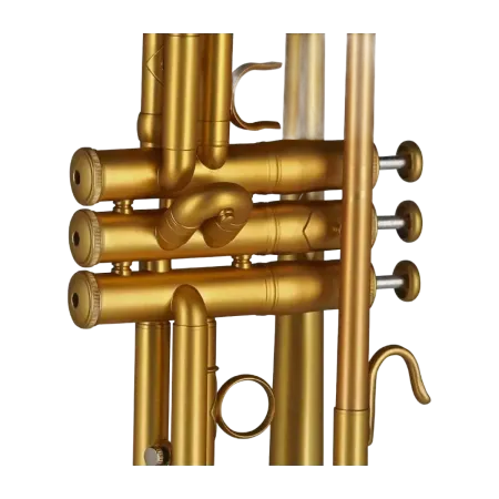 Trompeta Gewa TR172M Vision Mate Goldlack