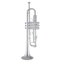 Trompeta Bach 180ML 37R Plateada
