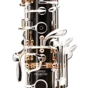 Oboé Legende BC3616H da linha Hybrid Green dBuffet