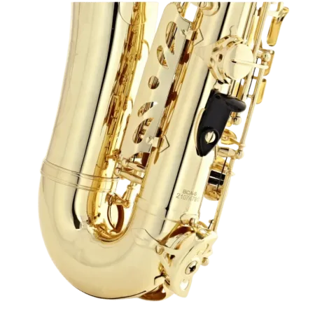 Saxofone Alto Buffet Prodige BC8301 Lacado - Sanganxa.com