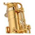 Saxofone Alto Yamaha YAS-875EX - Sanganxa - Shokunin Select Yamaha