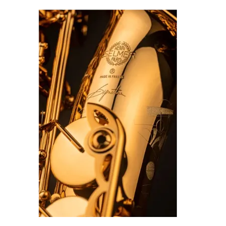 Saxo Alto Selmer Signature Lacado - Sanganxa.com