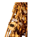 Saxofone Alto Selmer Signature Lacado - Sanganxa.com