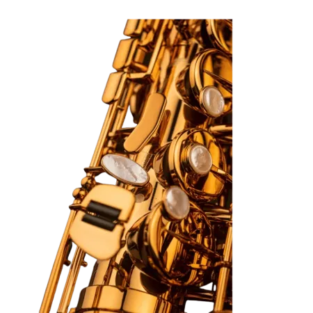 Saxo Alto Selmer Signature Lacado - Sanganxa.com