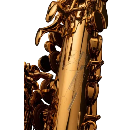 Saxo Tenor Selmer Signature Lacado - Sanganxa.com