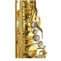 saxofone alto jupiter jasstrq stellar