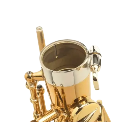 Saxofone Alto Selmer Supreme DGG Goldmessing - Sanganxa.com
