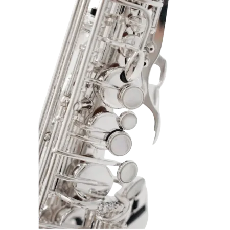 Saxofone Alto Selmer Supreme AG Prateado - Sanganxa.com