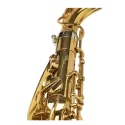 Saxo Alto Selmer Supreme AUG Chapado Oro - Sanganxa.com