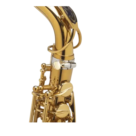 Saxo Alto Selmer Supreme AUG Chapado Oro - Sanganxa.com