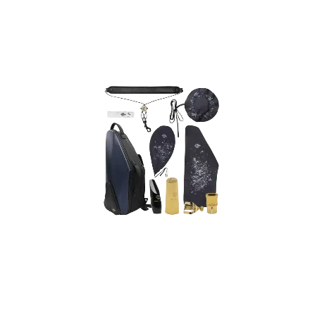 Saxofone Alto Selmer Supreme AUG Banhado a Ouro - Sanganxa.com
