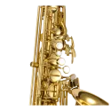 Saxofone Alto Jupiter JAS1100Q Lacado - Sanganxa.com