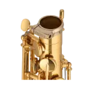 Saxofone Alto Yamaha YAS-82Z Lacado - Sanganxa.com