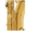 JBS1000