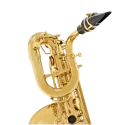 JBS1000