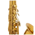 Saxofone tenor Selmer Supreme DGG Goldmessing - Sanganxa.com