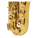 saxo tenor selmer supreme