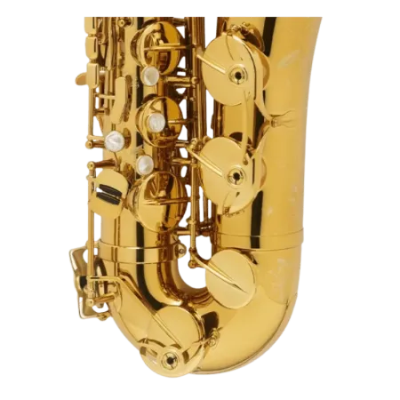 saxo tenor selmer supreme