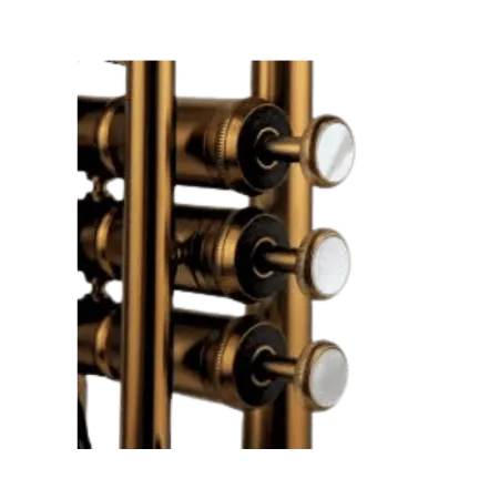 trompete adams a10 custom bronze acetinado