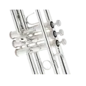 trompeta bach 190 37s