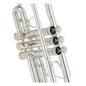 Trompete em Dó Yamaha YTR-8445 S Xeno Silverplated - Sanganxa.com