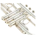 Trompete em Dó Yamaha YTR-8445 GS Xeno Silverplated - Sanganxa.com