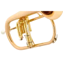 yamaha custom yfh 8315 g lacado bb flugelhorn | sanganxa music store