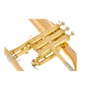 FLISCORNO YAMAHA YFH 8315G