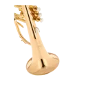 FLISCORNO YAMAHA YFH 8315G