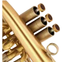 FLISCORNO ADAMS F2 GOLDMESSING SATIN LACQUER