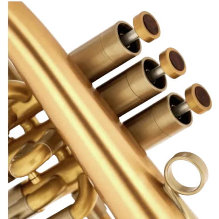 FLISCORNO ADAMS F2 GOLDMESSING SATIN LACQUER