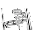 Flugelhorn Adams F1 Latão Prateado - Sanganxa.com