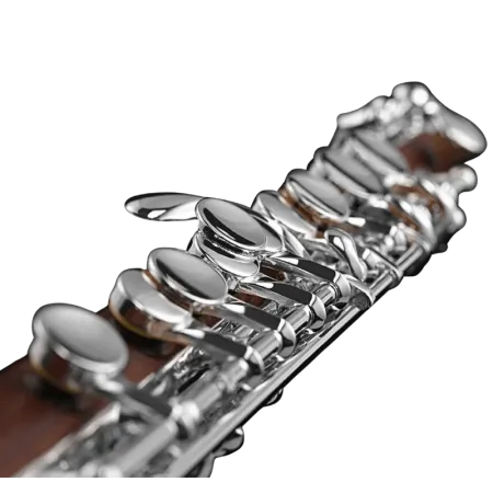 Piccolo Di Zhao DZP 301 Palo Rosa - sANGANXA.COM