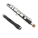 Piccolo Di Zhao DZP102 Composto - sanganxa.com