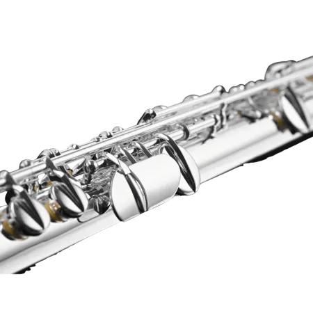 Flauta alto Di Zhao DZA100 - sanganxa.com