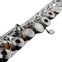 Flauta Di Zhao DZ301 CEF Pratos abertos - sanganxa.com