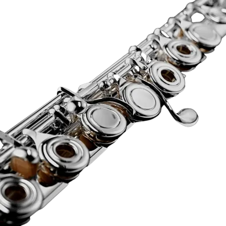 Flauta Di Zhao DZ301 CEF Pratos abertos - sanganxa.com