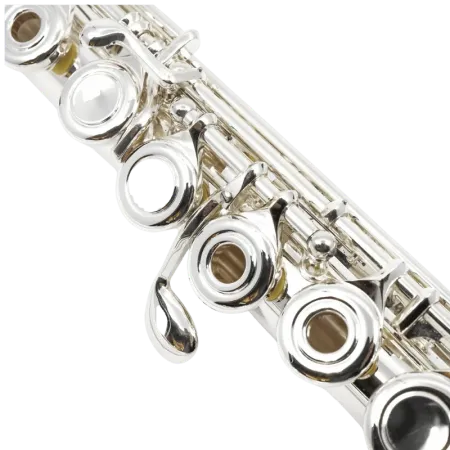 Flauta Di Zhao DZ301 CEF Pratos abertos - sanganxa.com