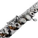 FLAUTA DI ZHAO DZ801BEF