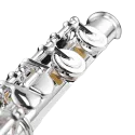 Flauta Di Zhao DZ801bef - sanganxa.com