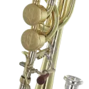 TROMBON BAJO COURTOIS AC551