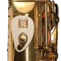 KEY LEAVES KIT PARA DESMONTAR LLAVES PALMA RULON