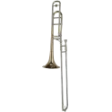 TROMBON GEWA TB342FG VISION GOLDBRASS