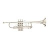 TROMPETA BACH C180L 239/7R PLATEADA EN DO Bach - 1